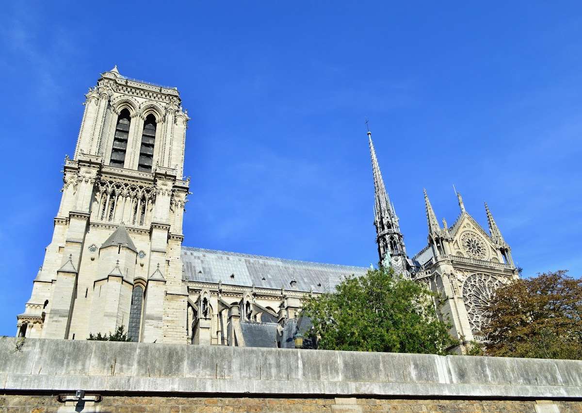 Cathédrale Notre-Dame de Paris