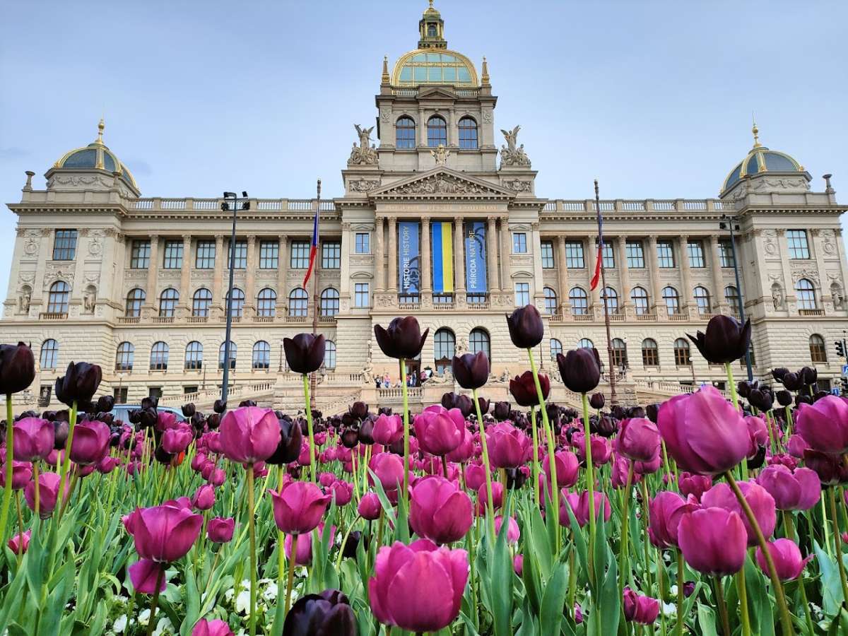 Wenceslas Square