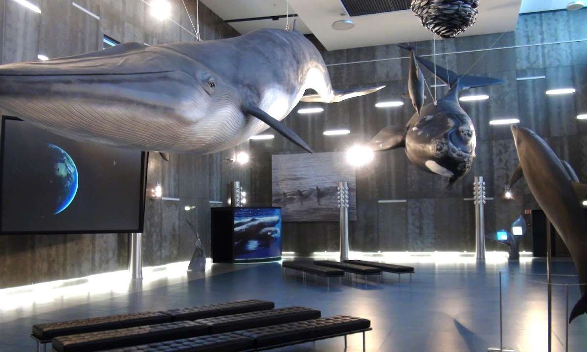 Whaling Museum of Madeira