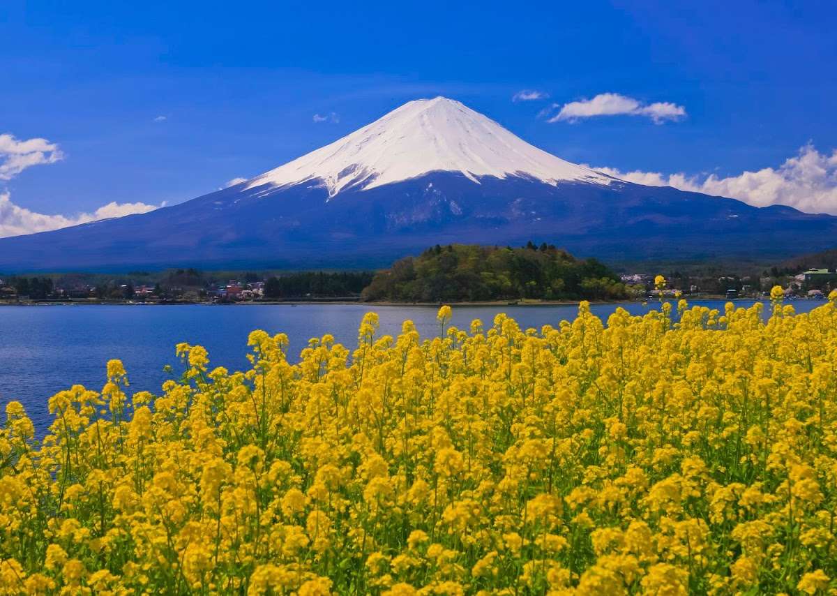 Mount Fuji