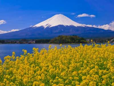 Mount Fuji