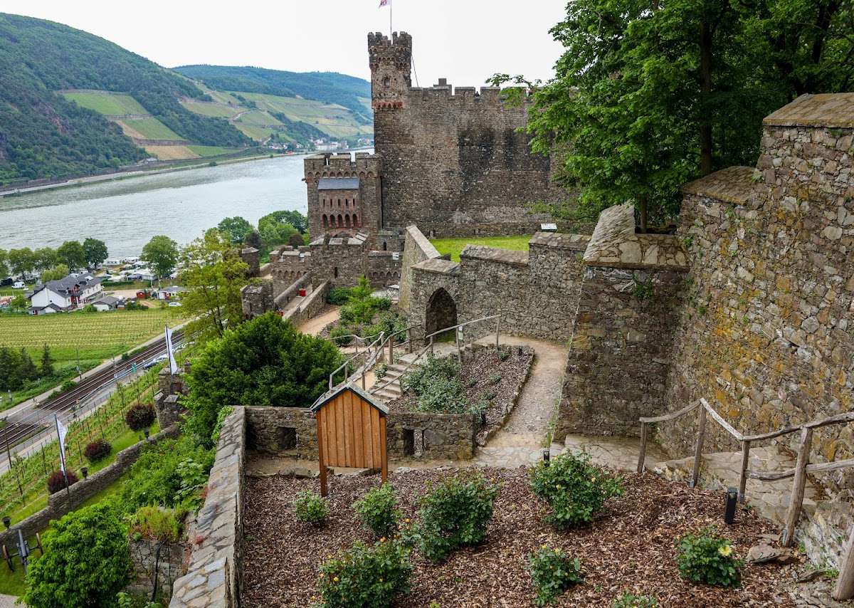 Burg Reichenstein