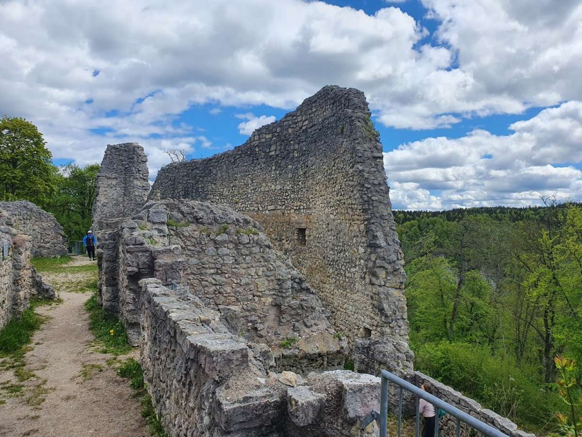 Ruine Falkenstein (Donautal)