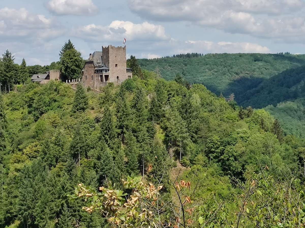 Burg Arras