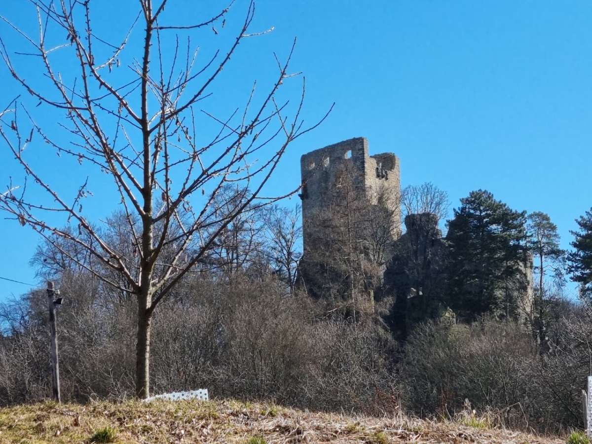 Castle Ruins Valečov