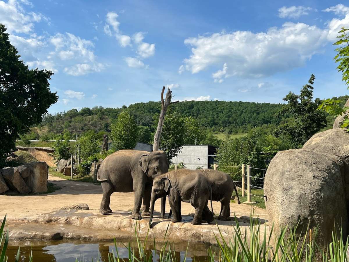 Prague Zoo