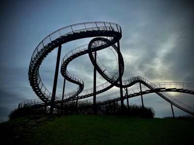 Tiger & Turtle