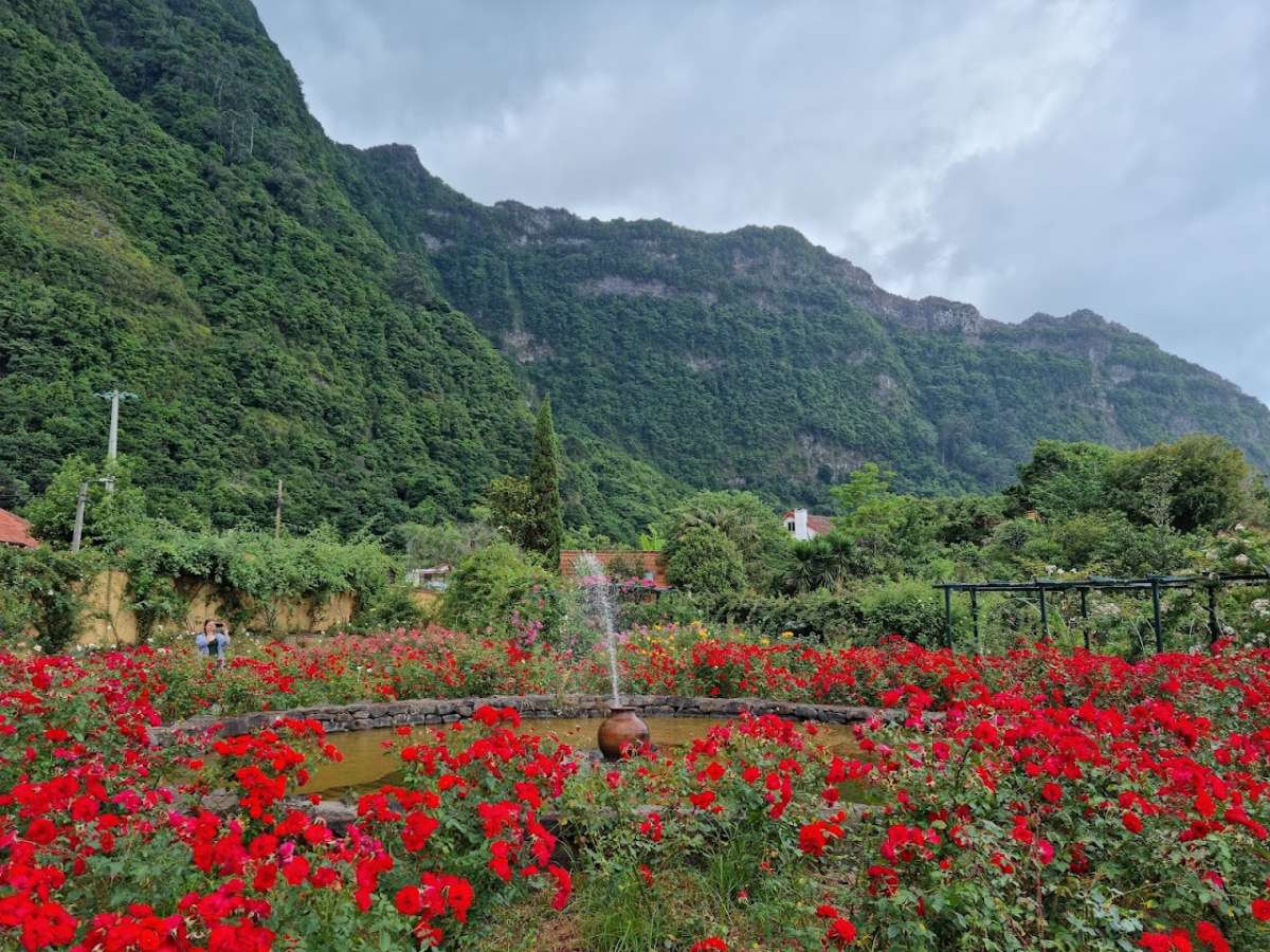 Roseiral da Quinta do Arco